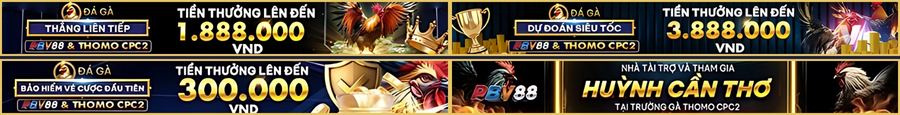 Đối tác uy tín PBV88 khuyến mãi lớn
