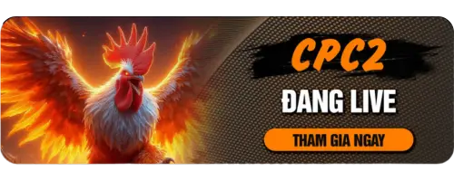 Trực Tiếp Đá Gà CPC2 Tại DAGA