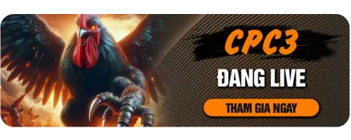 Trực Tiếp Đá Gà CPC3 Tại DAGA